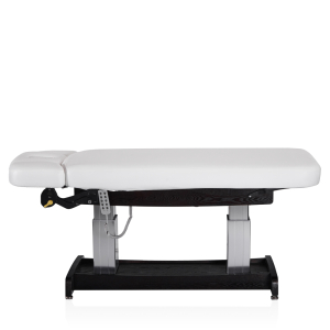 Электрический стационарный массажный стол Mizomed Union Salon