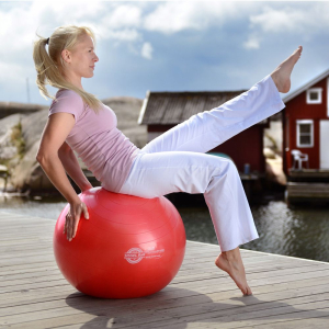 Гимнастический мяч SISSEL Exercise Ball